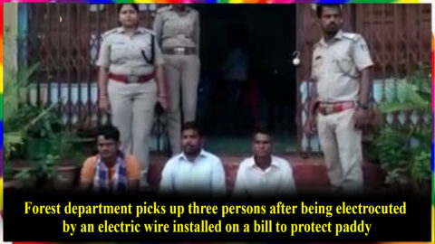 Forest department picks up three persons after being electrocuted by an electric wire installed on a bill to protect paddy